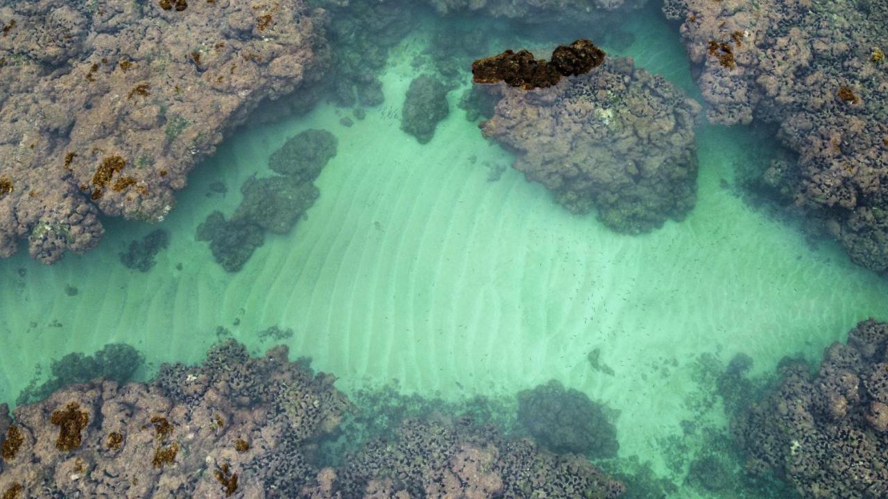 Cabana Fluir - Taipu De Fora - Peninsula De Marau Barra Grande  Luaran gambar
