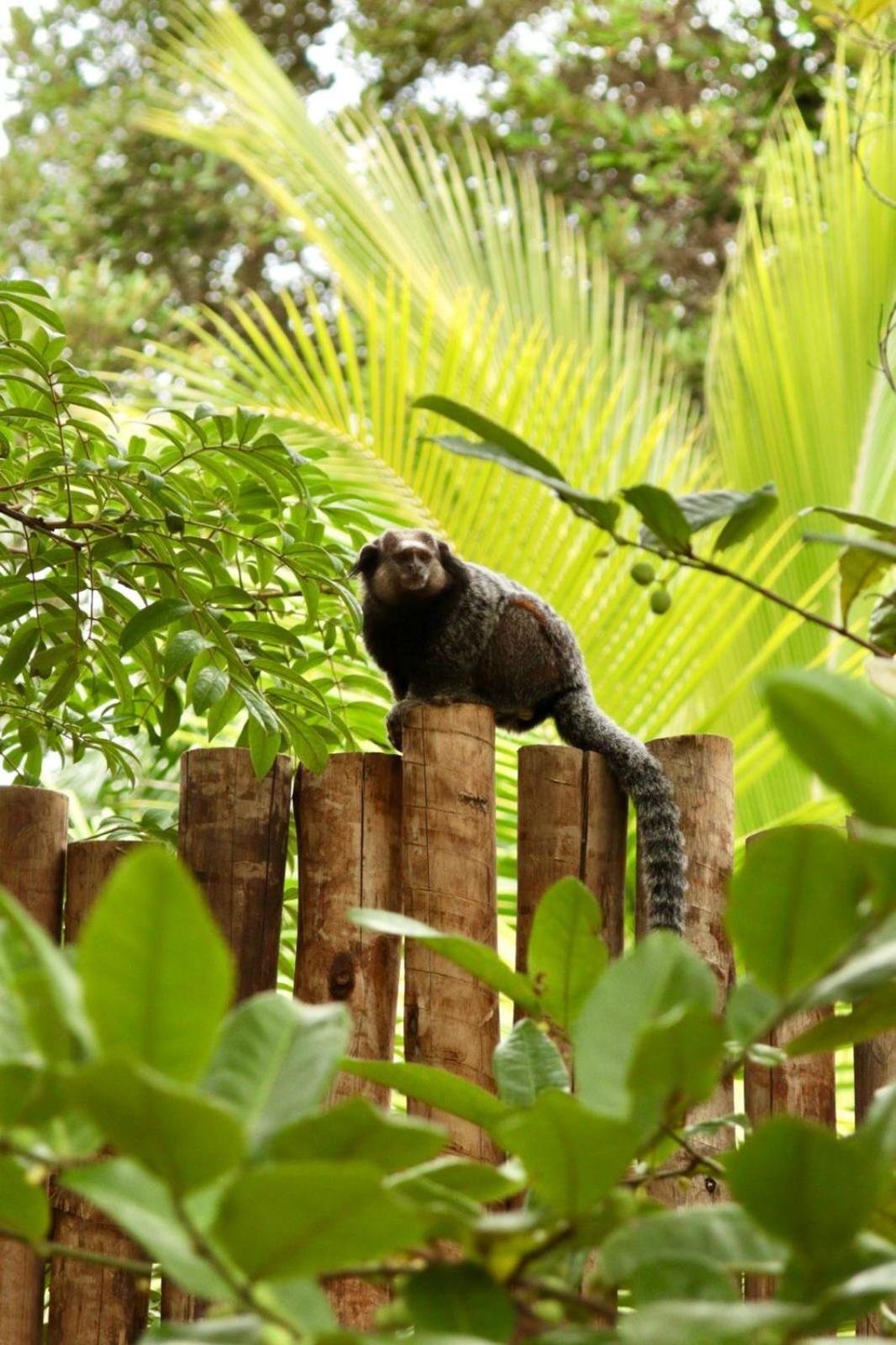 Cabana Fluir - Taipu De Fora - Peninsula De Marau Barra Grande  Luaran gambar